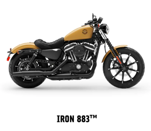 Iron 883™