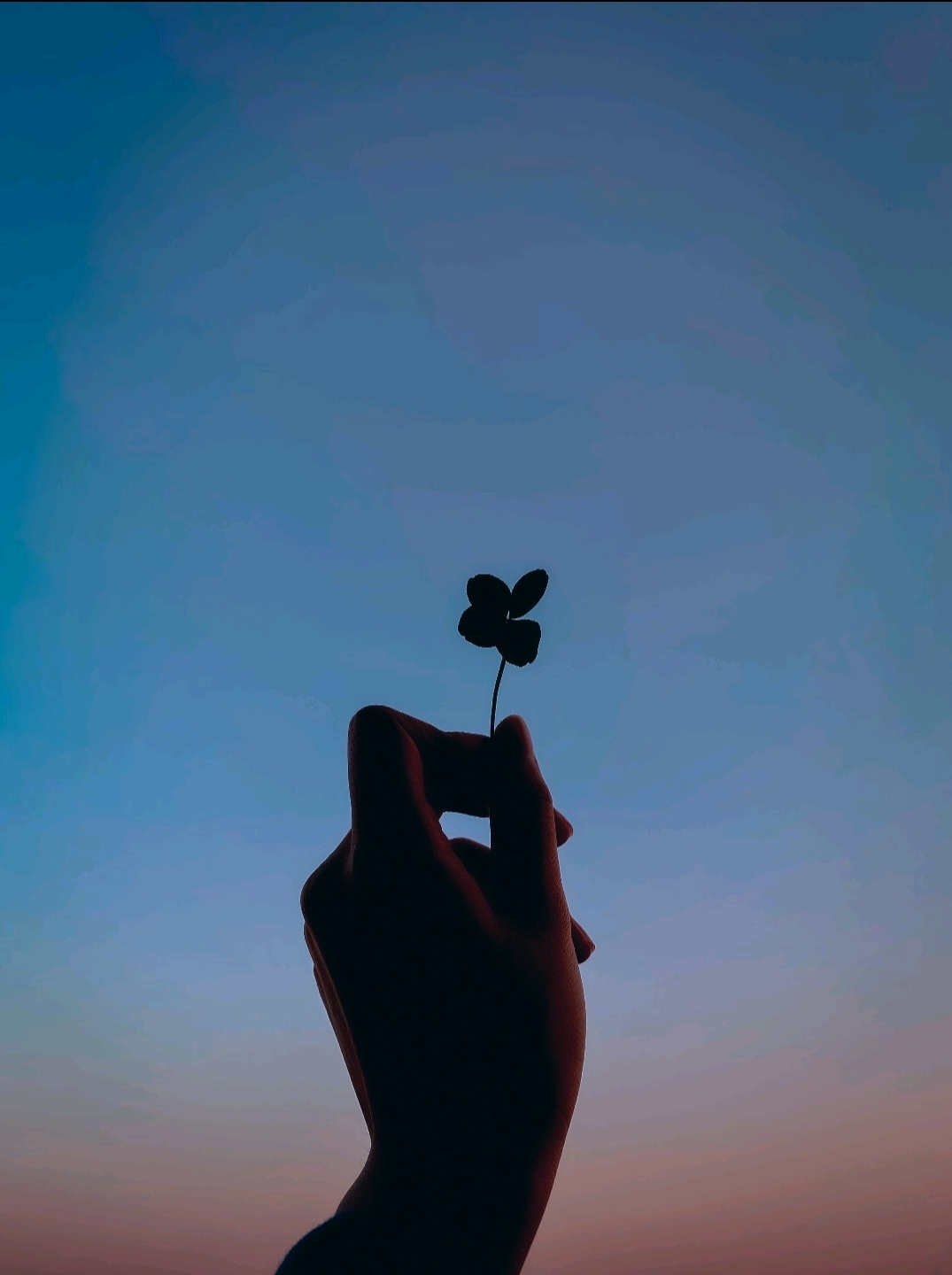 프로필사진
