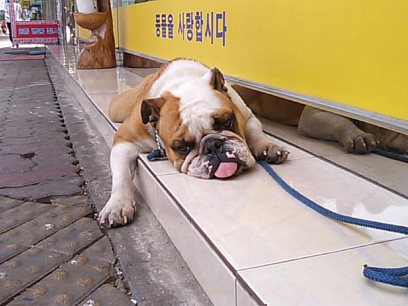 프로필사진