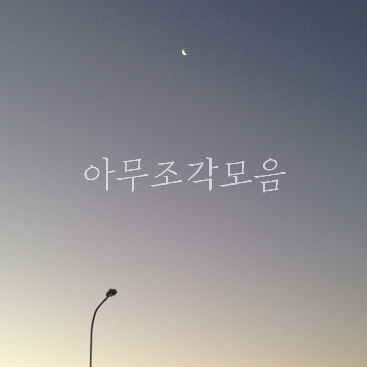 프로필사진