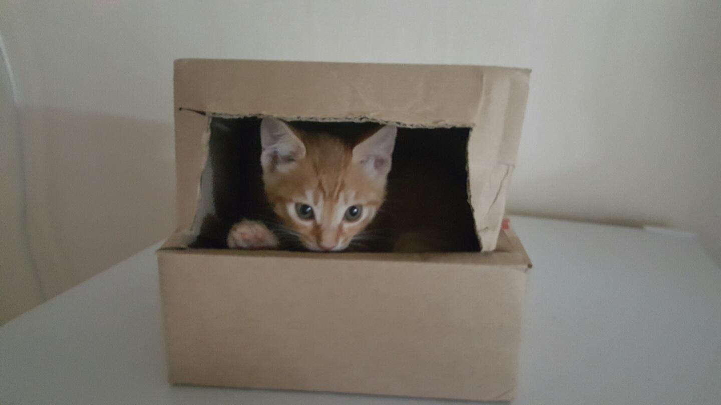 프로필사진