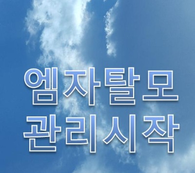 블로그 이미지