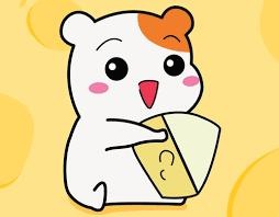 프로필사진