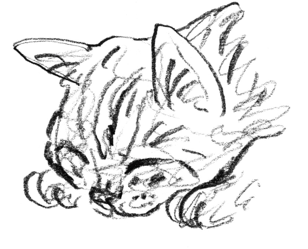 Tistory profile picture for @purgatory