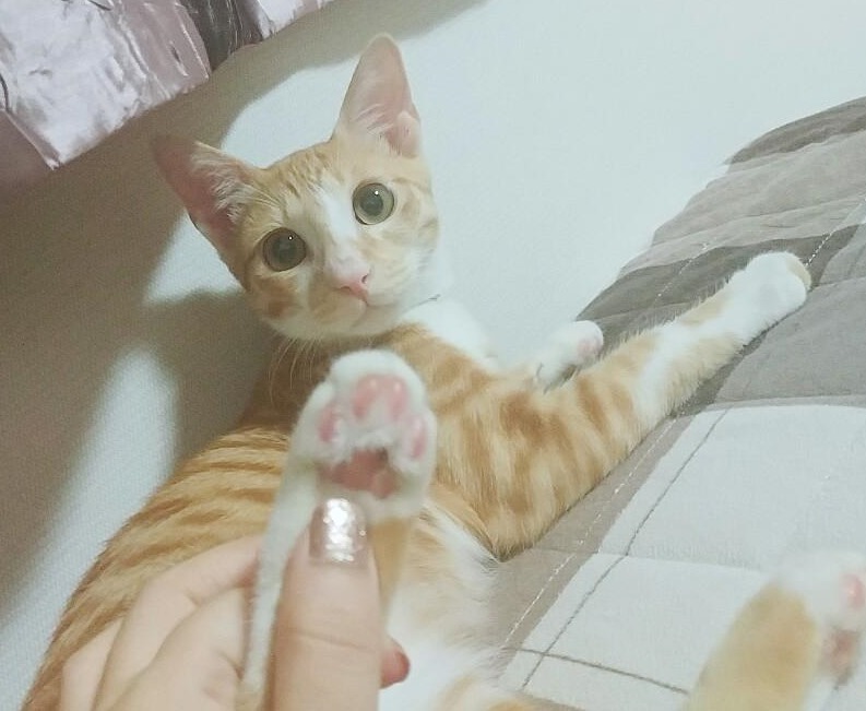블로그 이미지