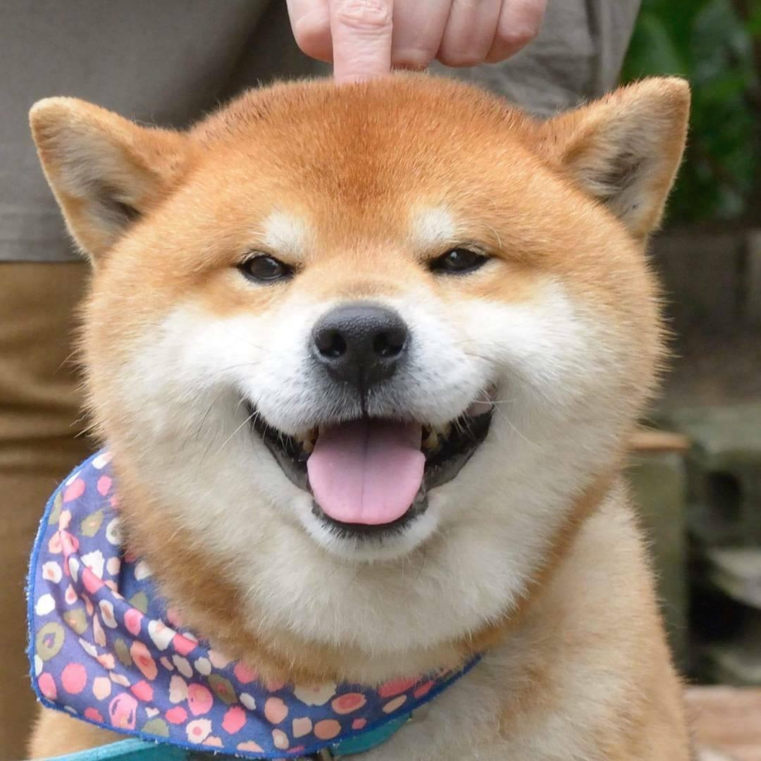 프로필사진