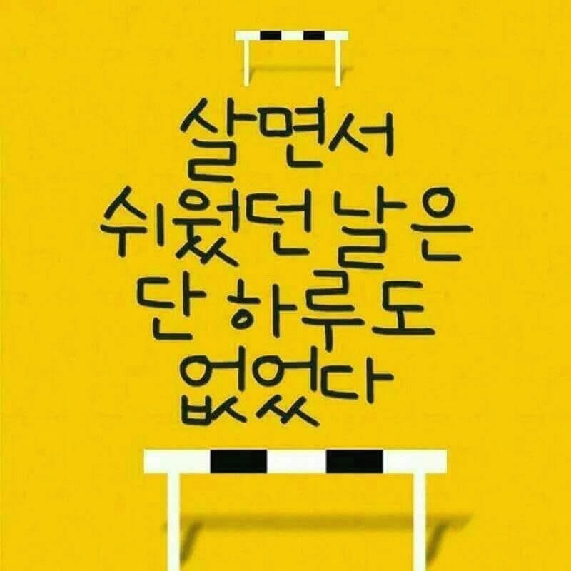 프로필사진