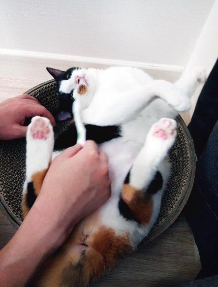 블로그 이미지
