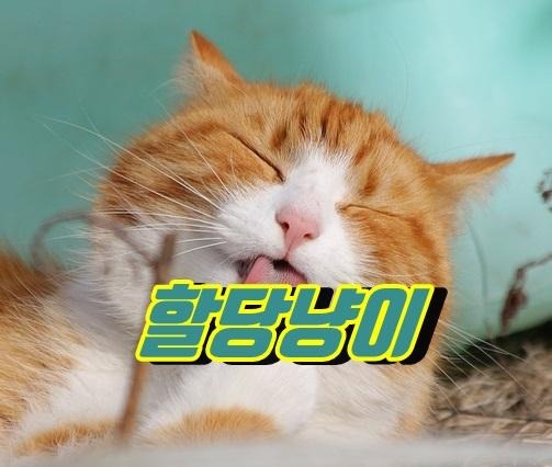 블로그 이미지