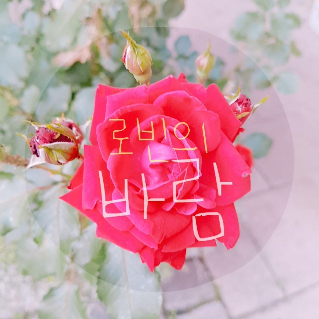 프로필사진