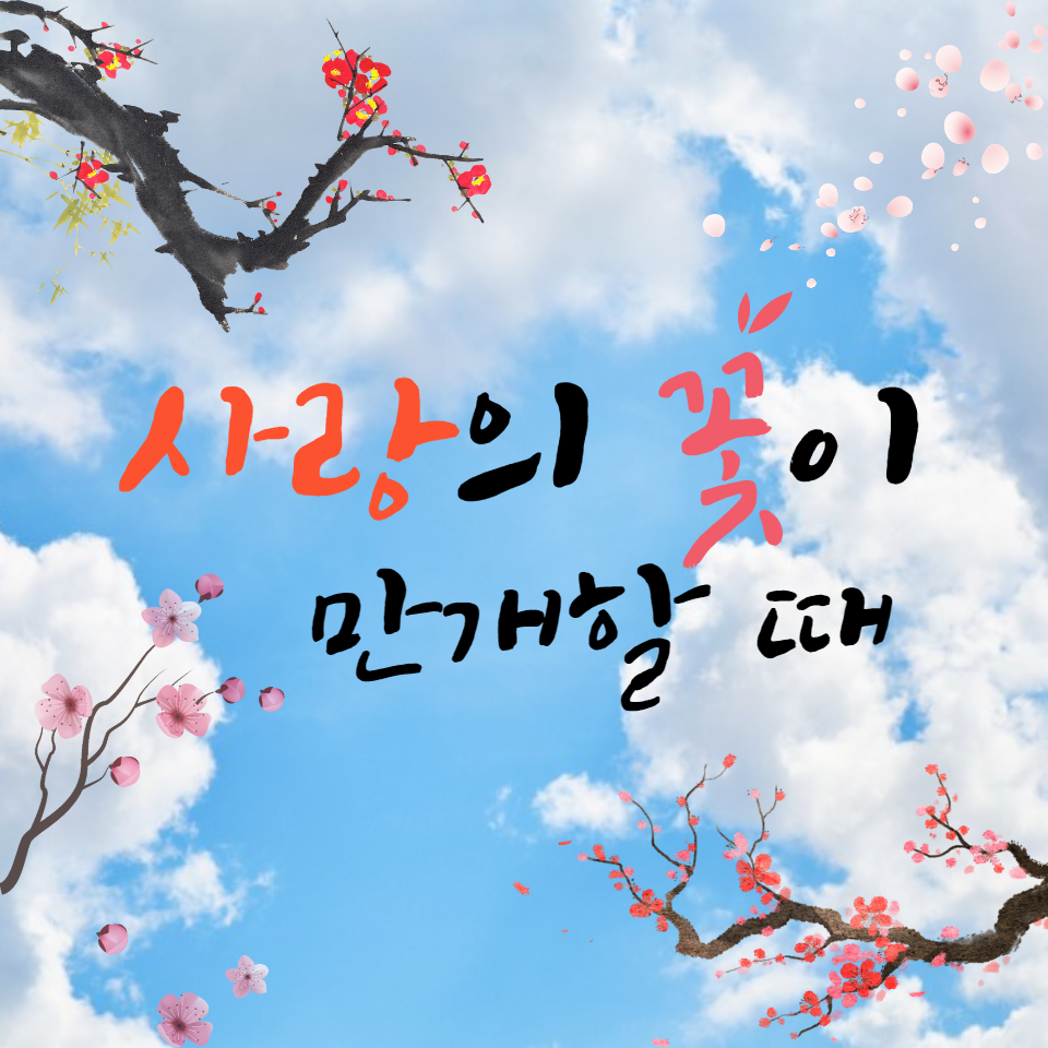블로그 이미지