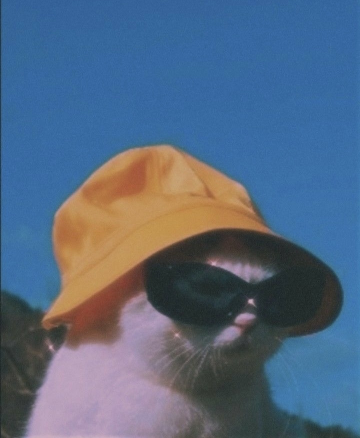 프로필사진
