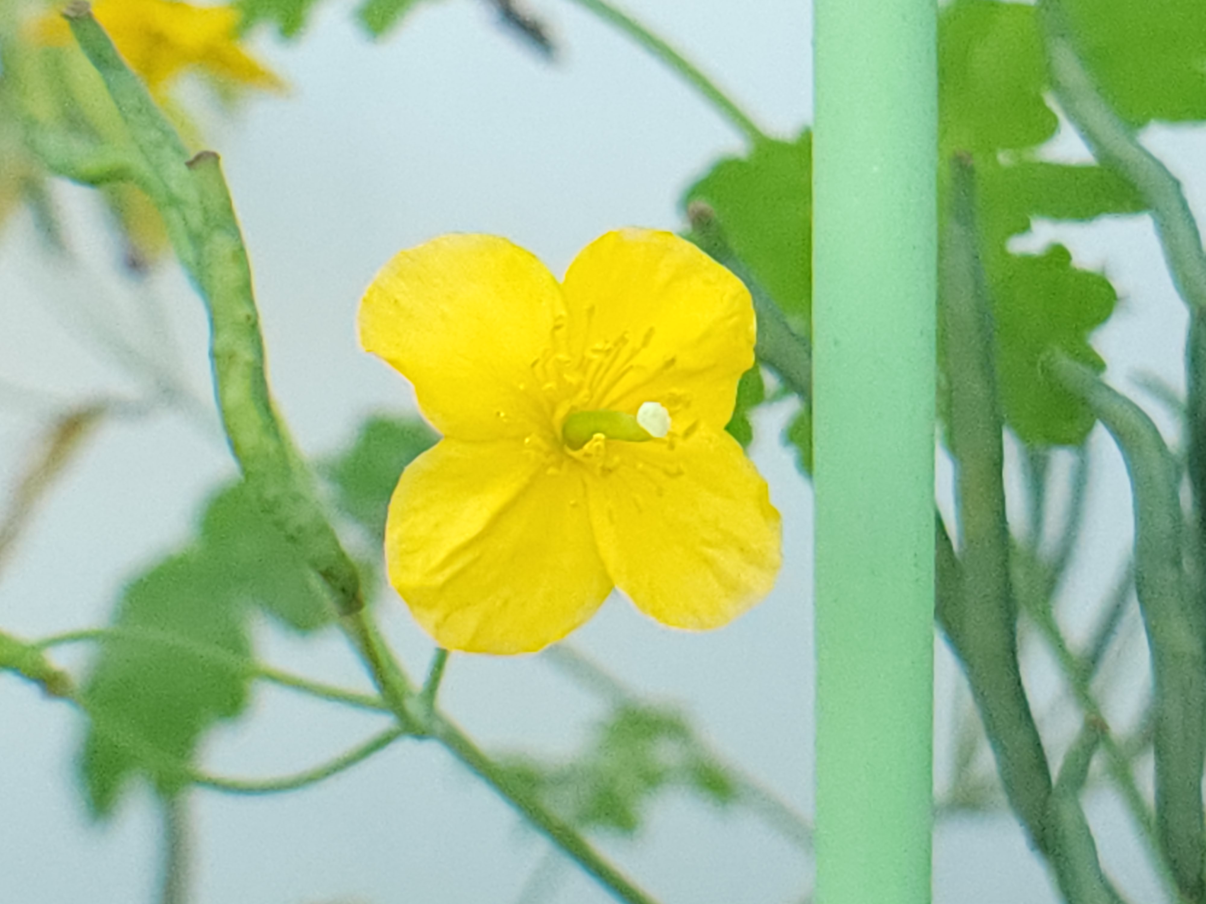 프로필사진
