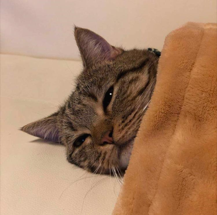 프로필사진