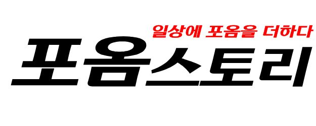 포옴스토리