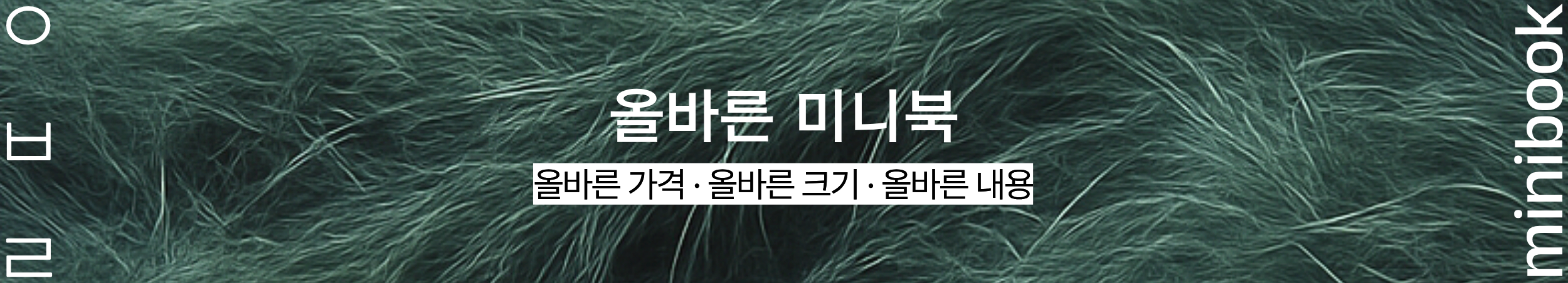 올바른 교육과정 미니북북