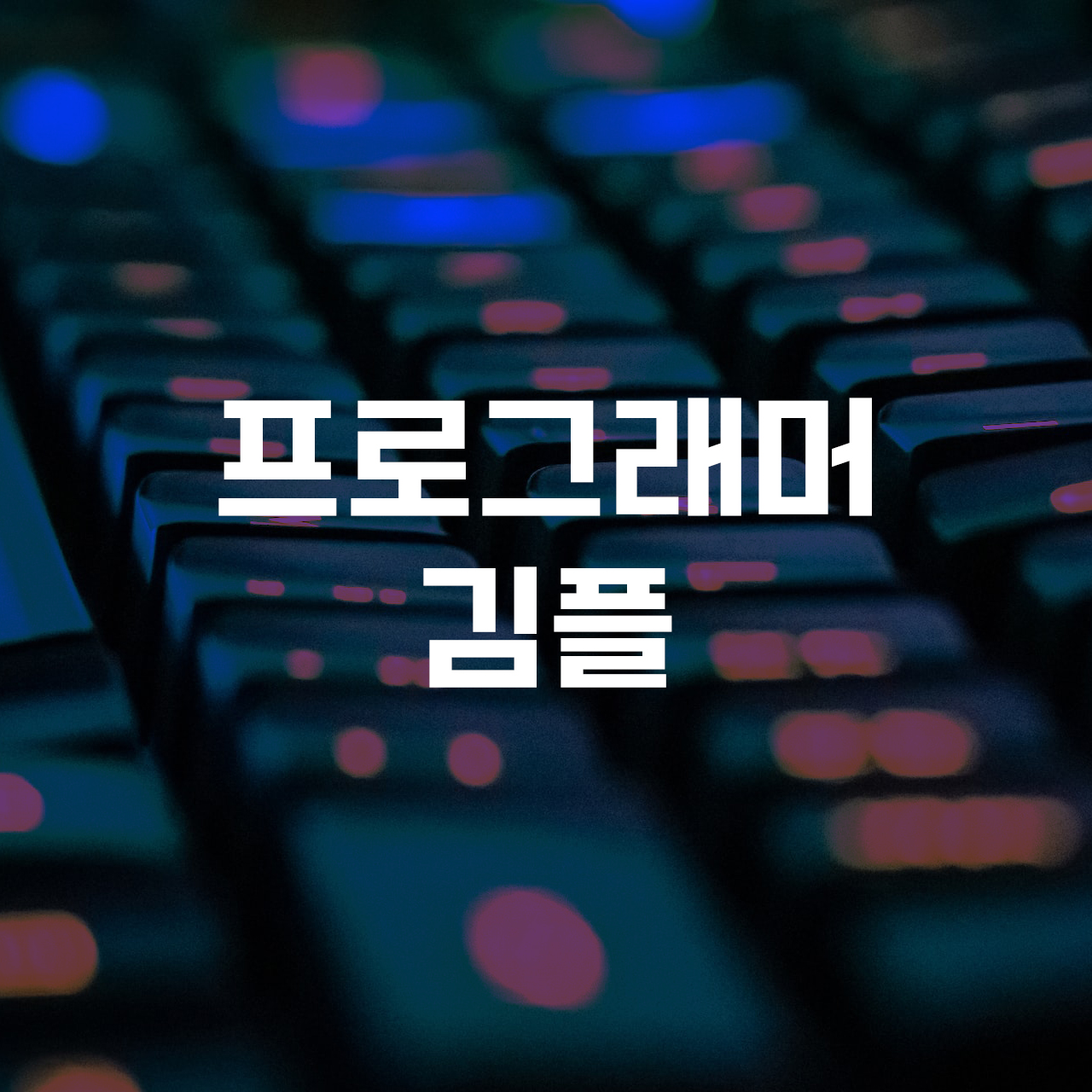 프로필사진