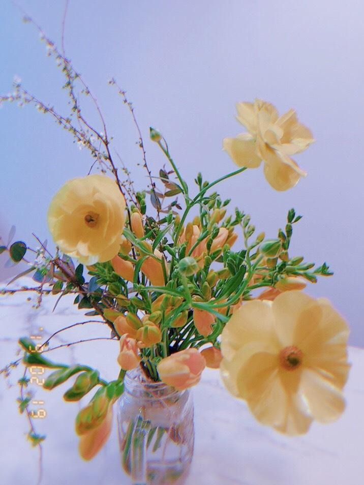 프로필사진