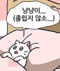 블로그 이미지