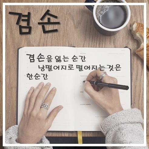 프로필사진