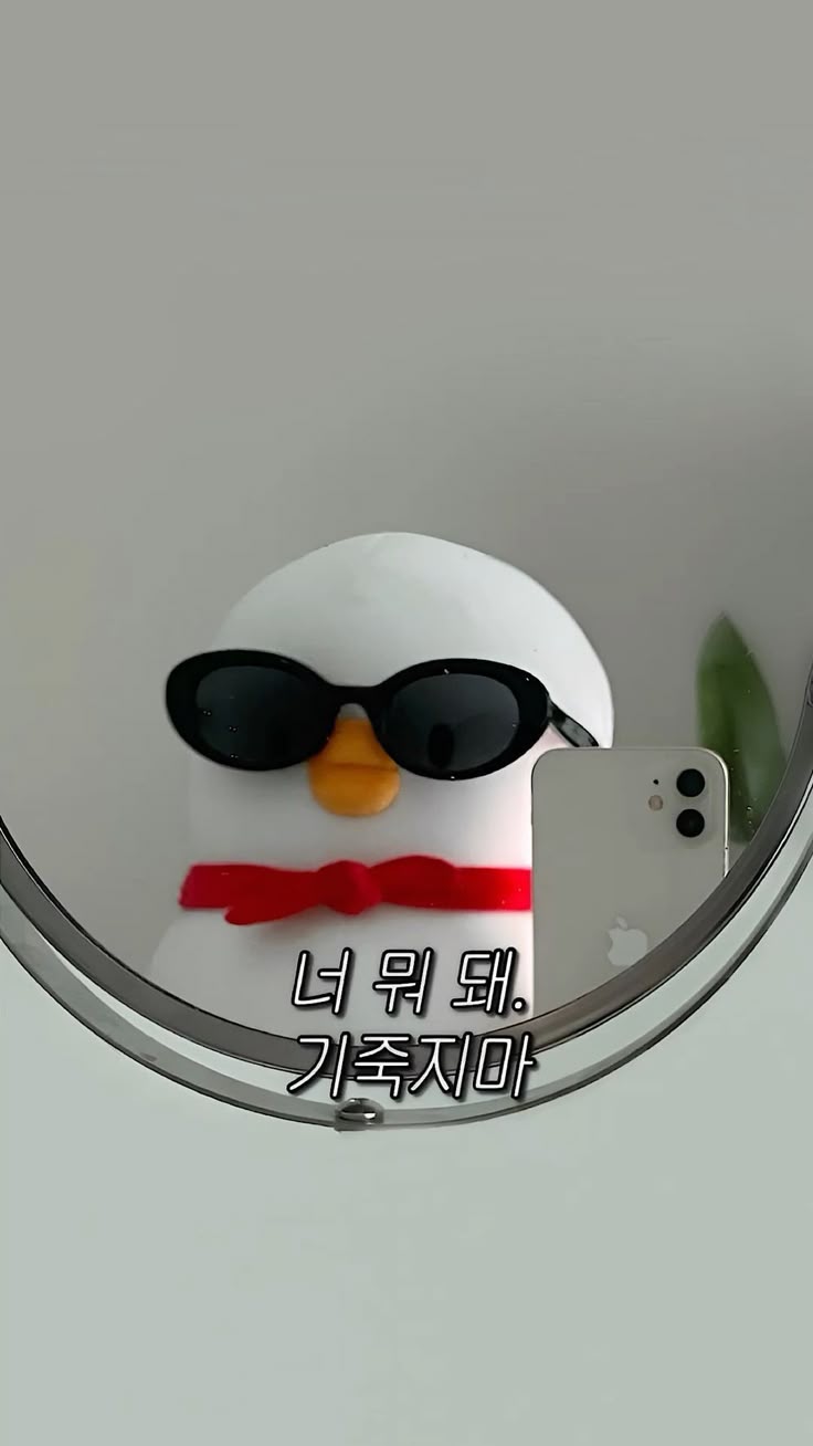 프로필사진