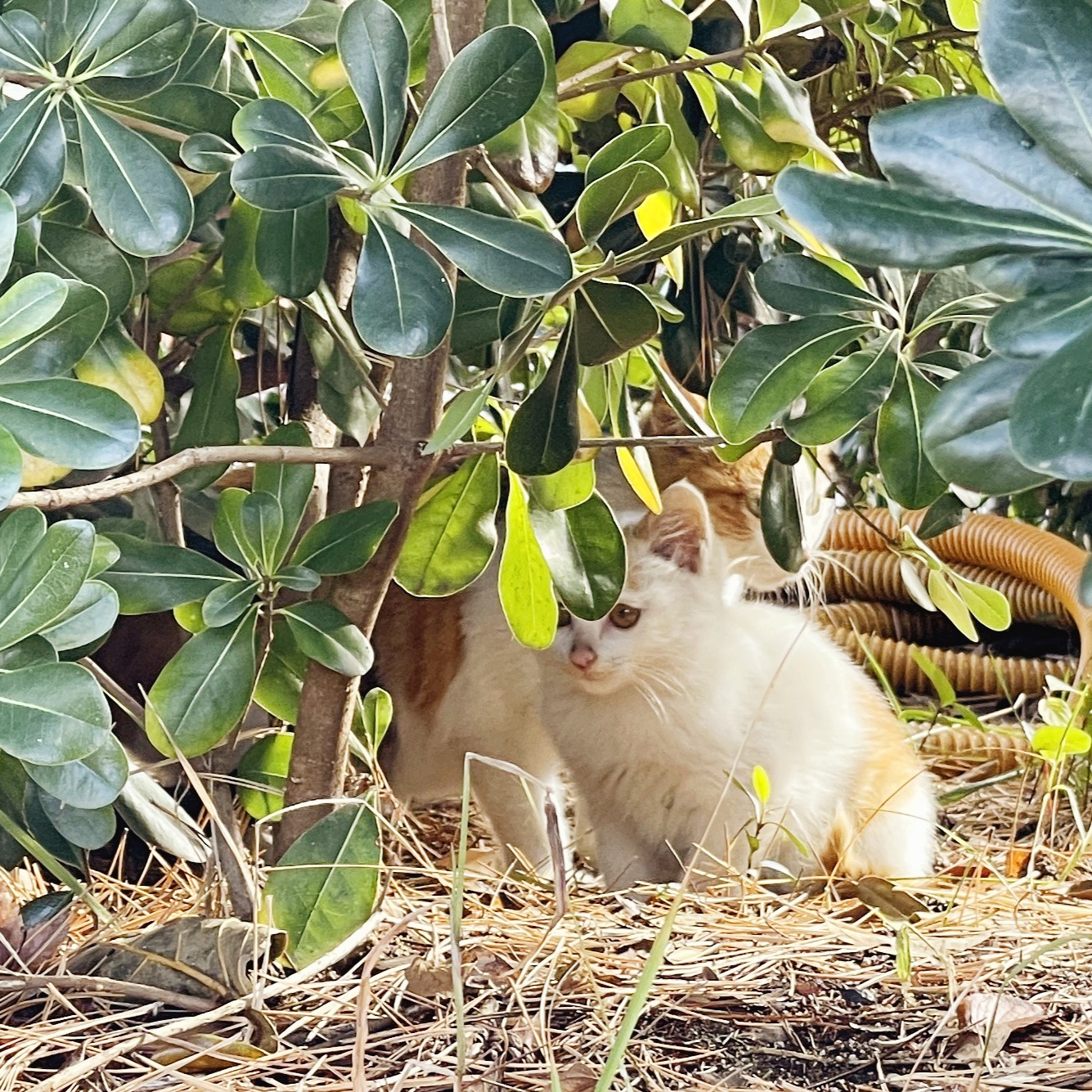 프로필사진