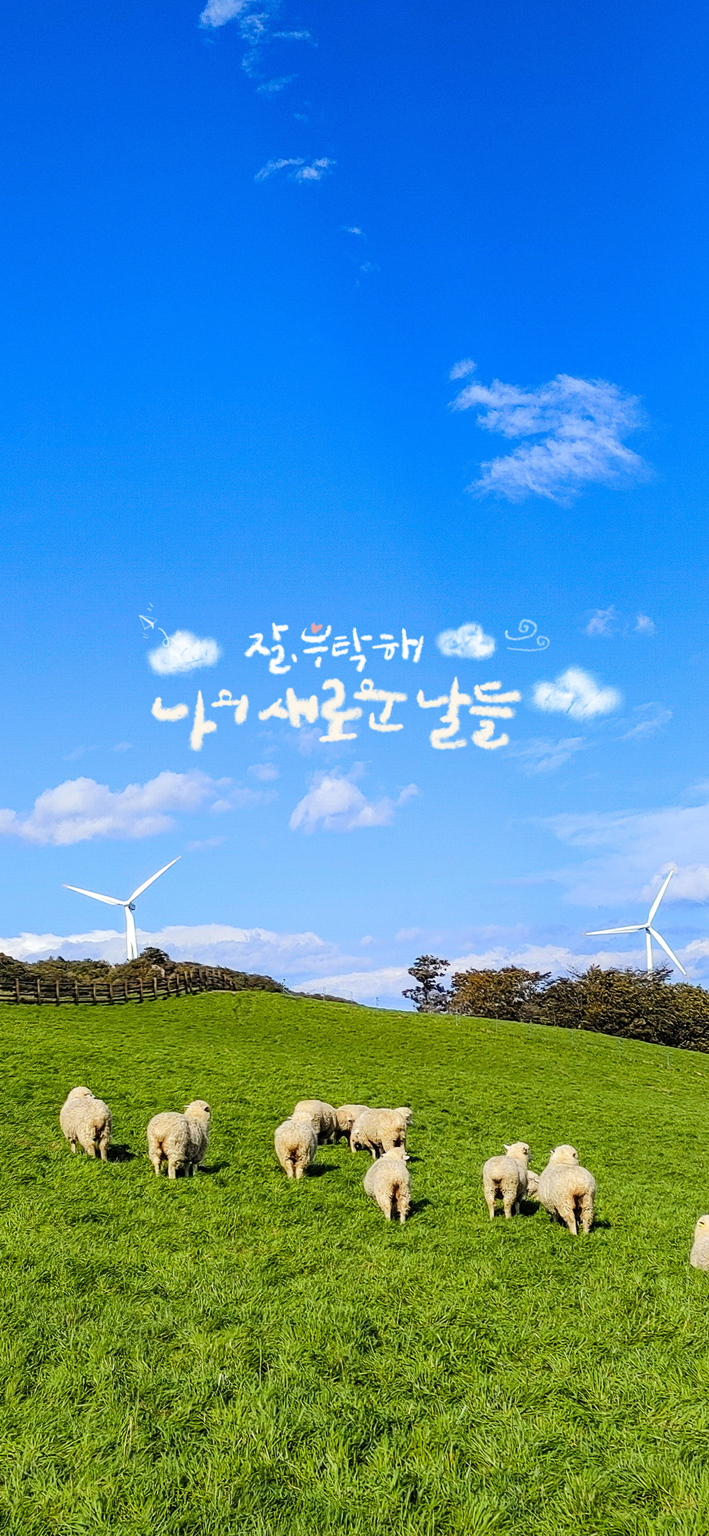 블로그 이미지