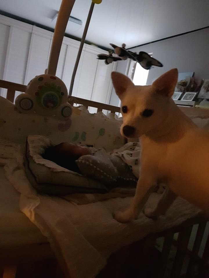 프로필사진