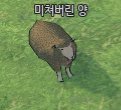 highlight-img