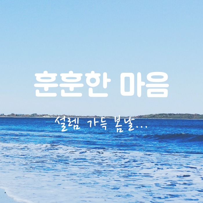 블로그 이미지