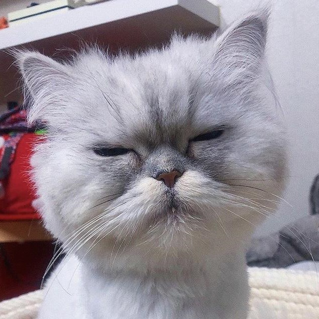 프로필사진