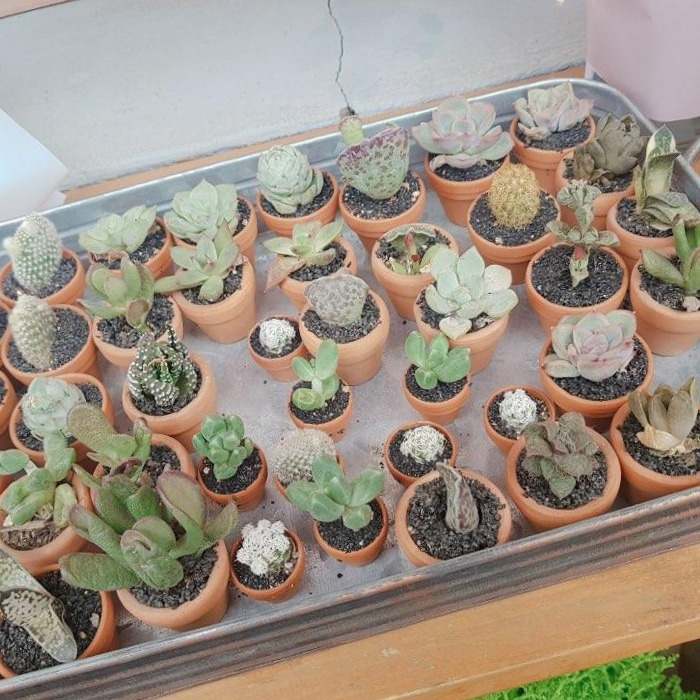 프로필사진