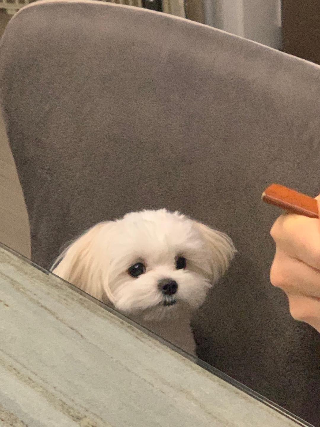 프로필사진