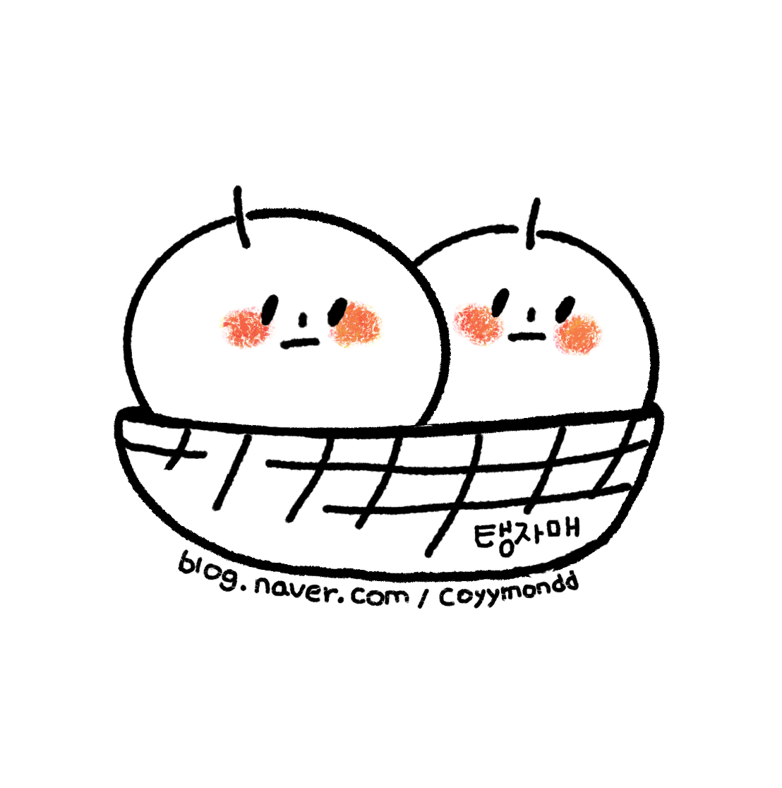 블로그 이미지