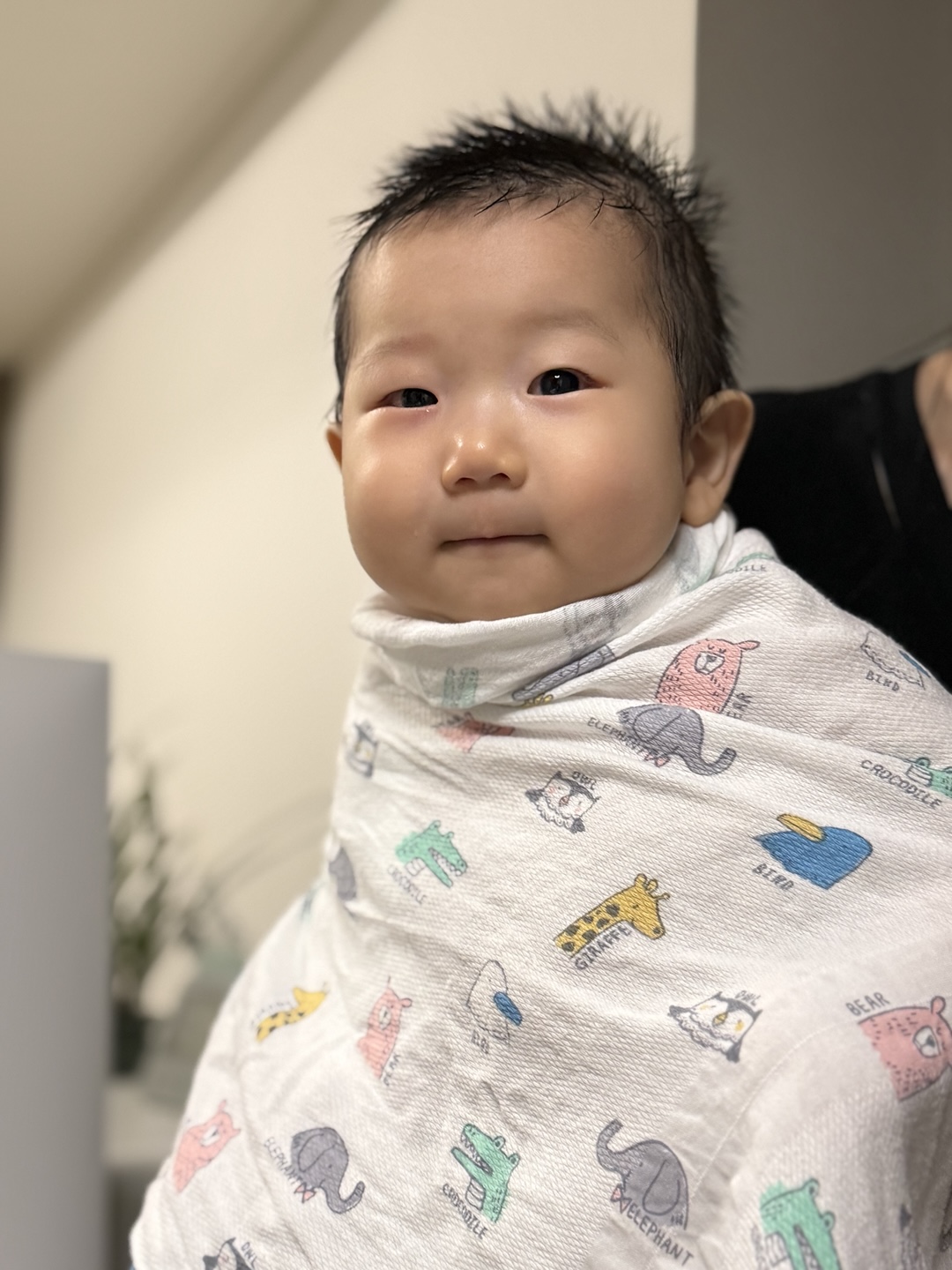 프로필사진
