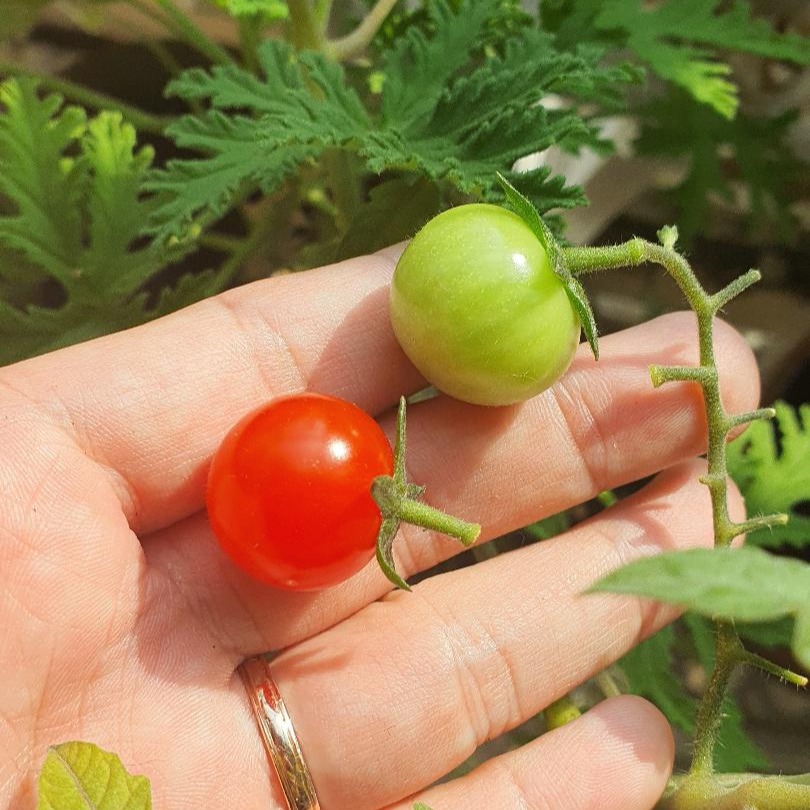 프로필사진