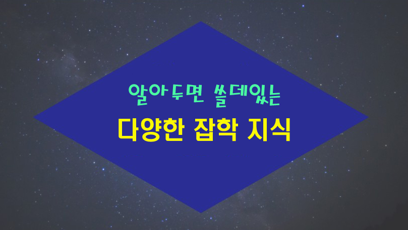 프로필사진