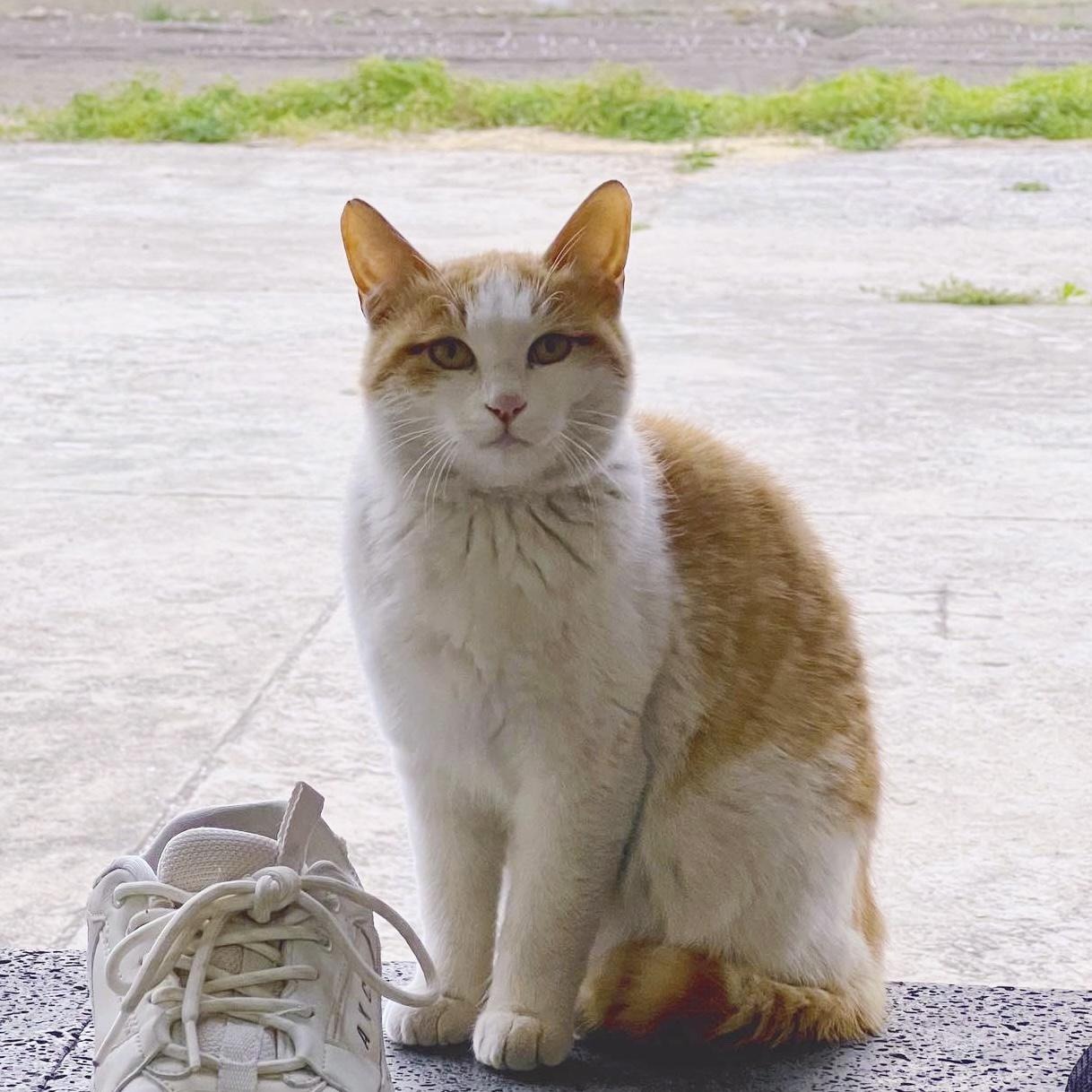 프로필사진