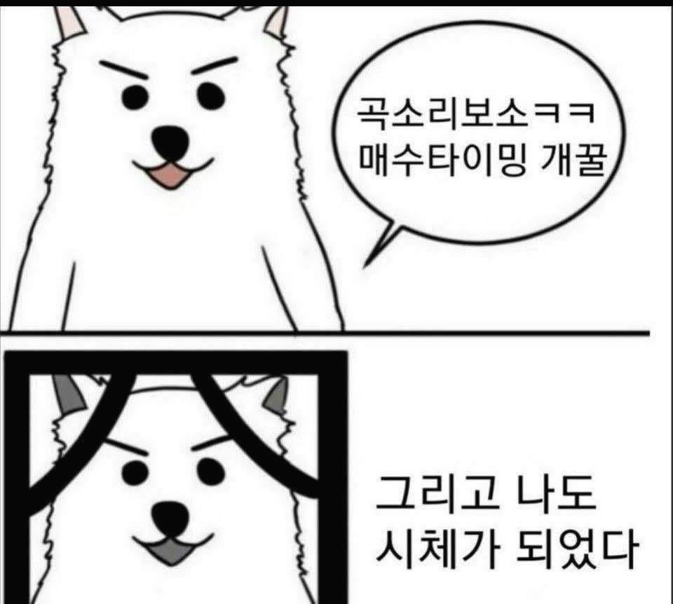 프로필사진