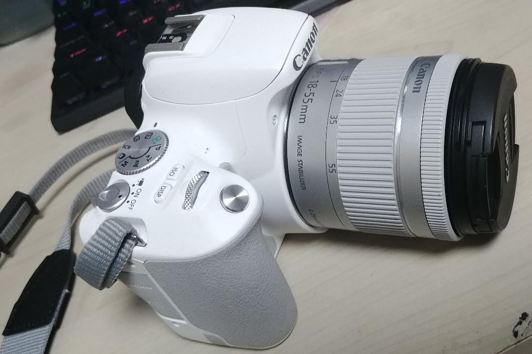 프로필사진