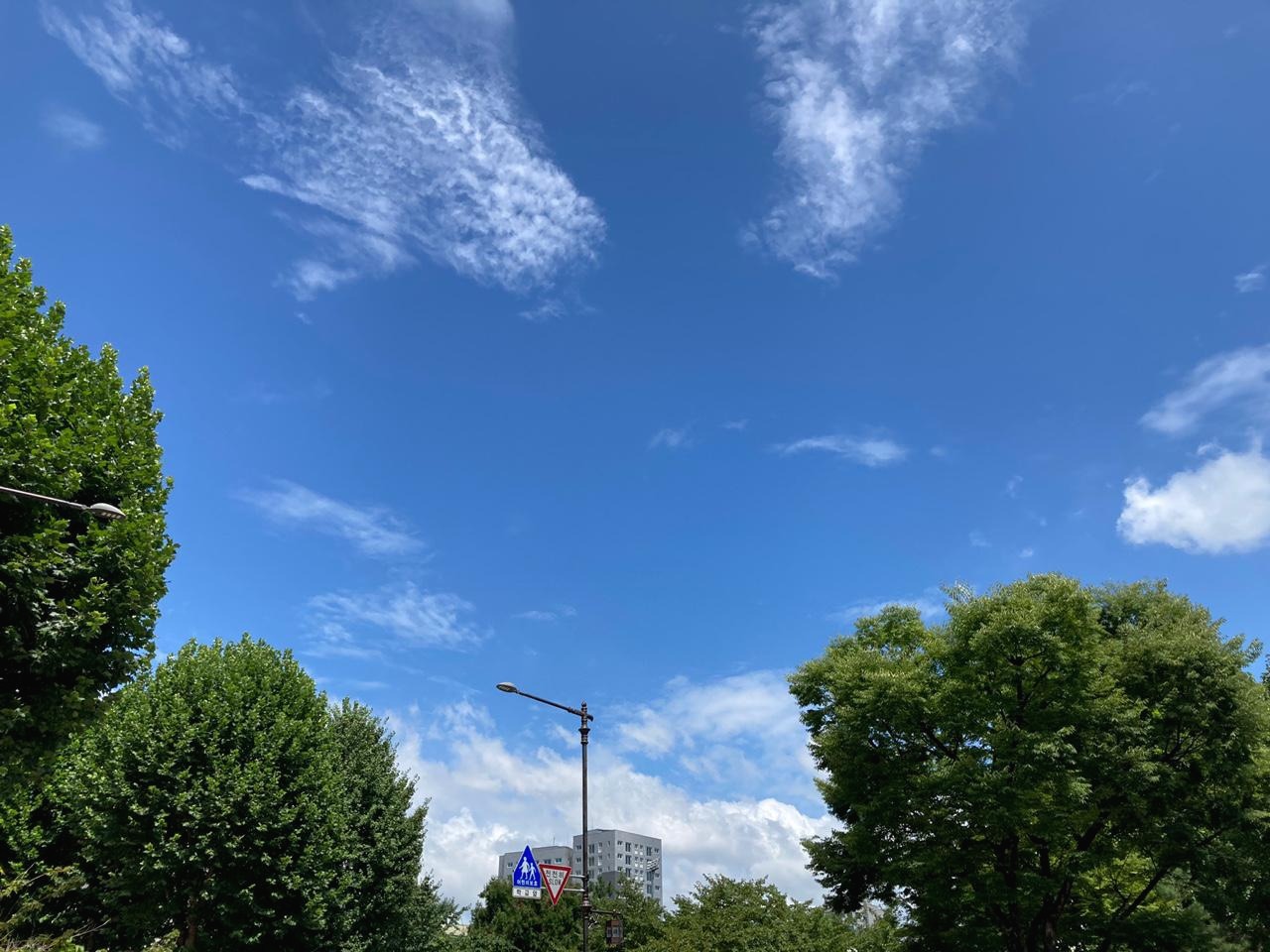 프로필사진