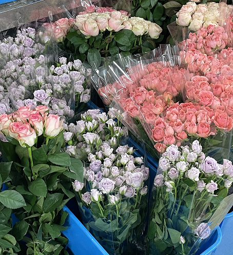 프로필사진