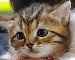 프로필사진