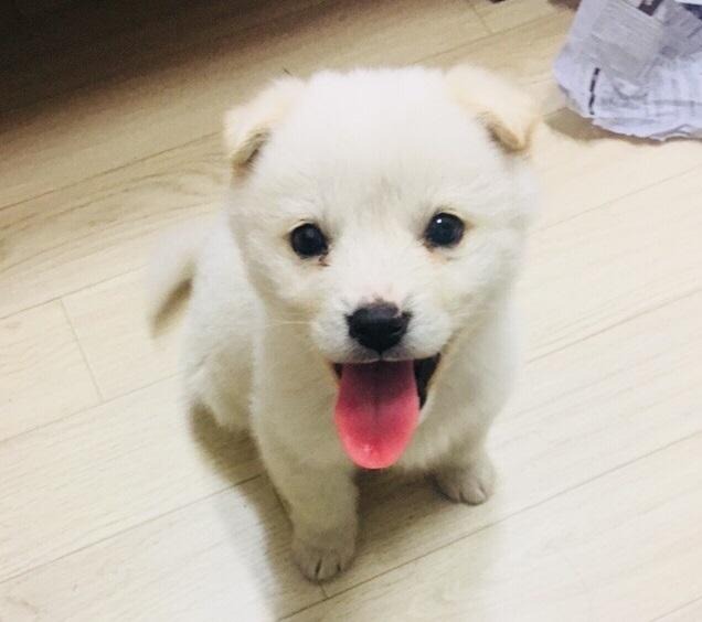 프로필사진