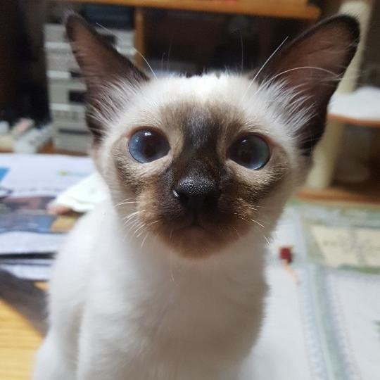 블로그 이미지