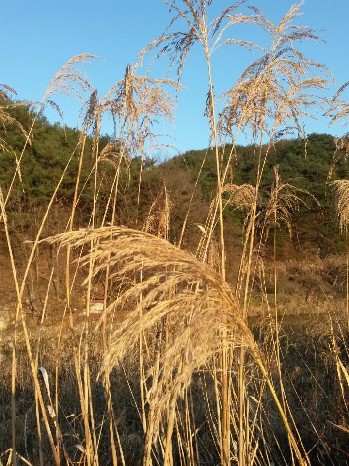 블로그 이미지