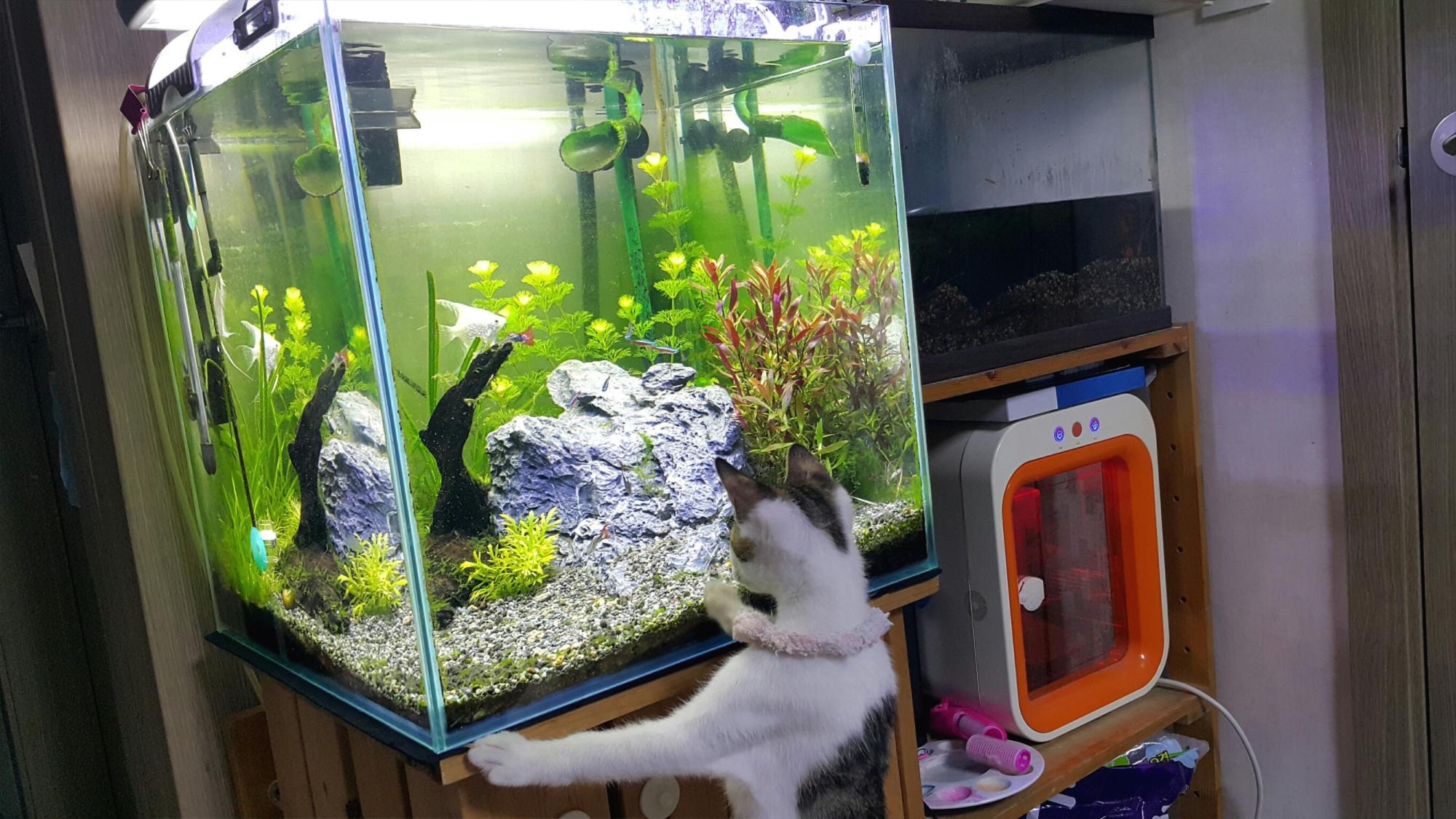 프로필사진