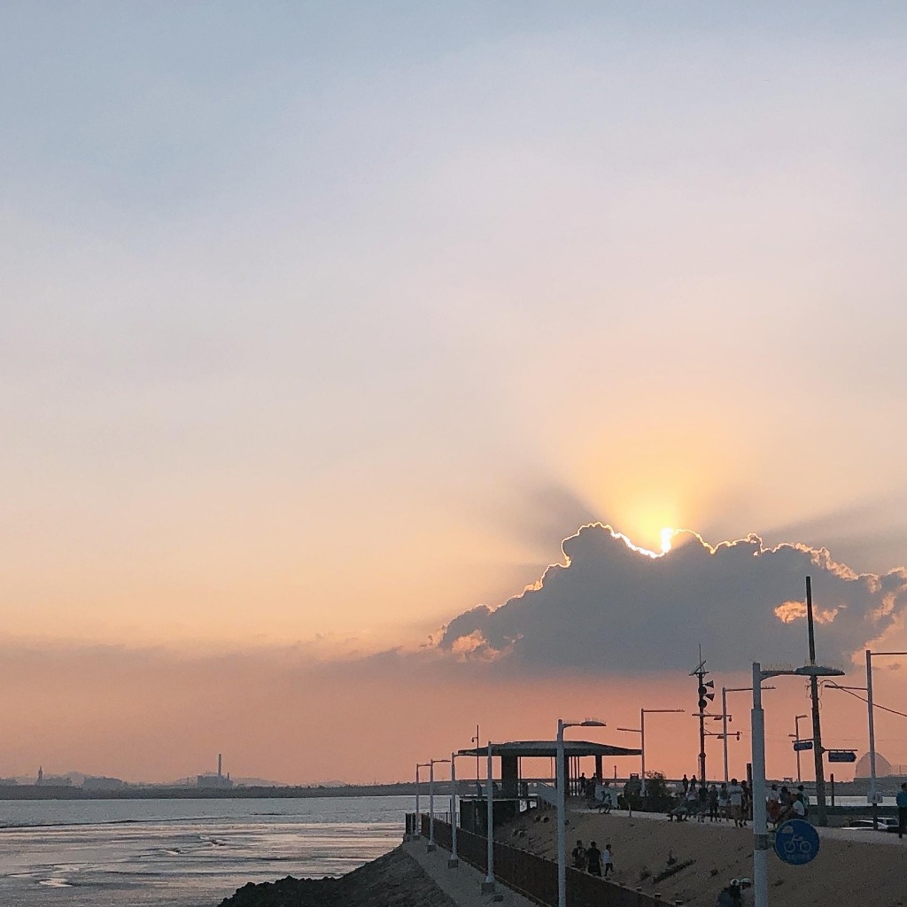 프로필사진