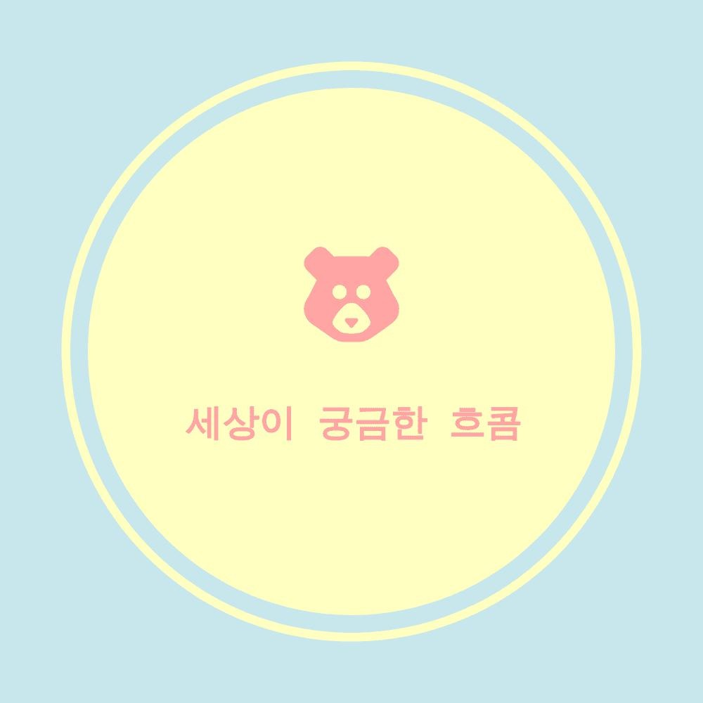 블로그 이미지