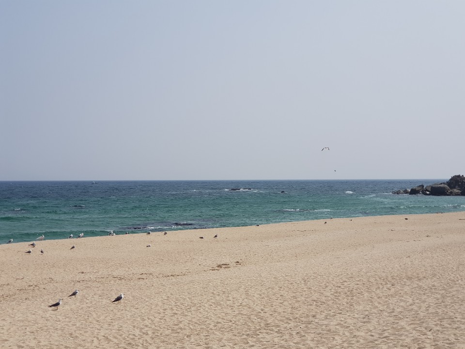 블로그 이미지